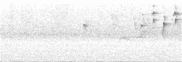 Серогрудый певун - ML251774881