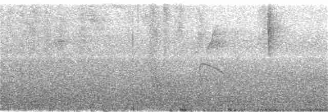 Пестрогрудый лесовик - ML251776211