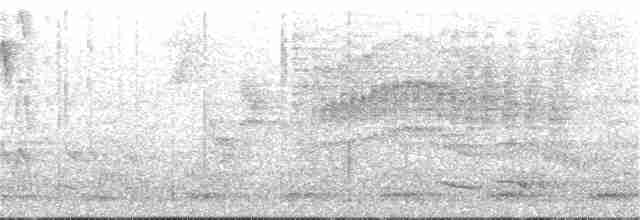 Тиран-інка буроголовий - ML251806451