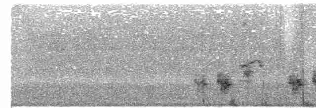 Clamorous Reed Warbler - ML251841451