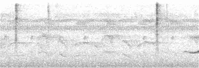 Rufous-browed Peppershrike (Chaco) - ML251873151