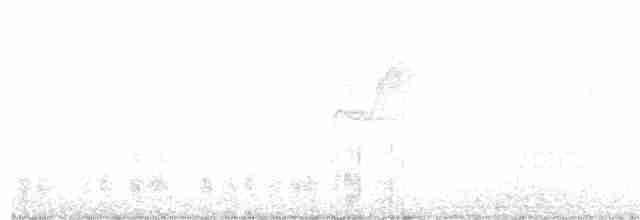 Тихоокеанский крапивник - ML251950431