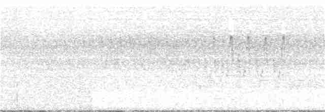 Bataklık Çıtkuşu - ML251961351