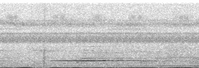 Tinamou à gorge blanche - ML251978