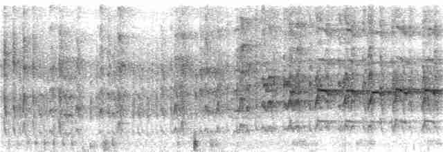 Чернохохлый дятлик - ML252013491