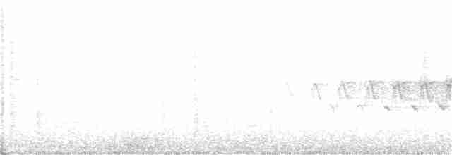 キヅタアメリカムシクイ（coronata） - ML252031751
