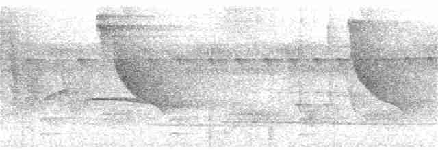 Fulvous Shrike-Tanager - ML252084421