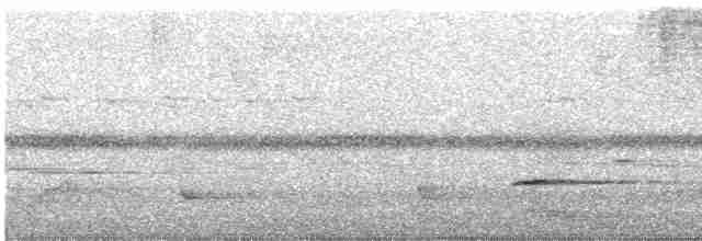 Gray Whistler (Gray-headed) - ML252110461