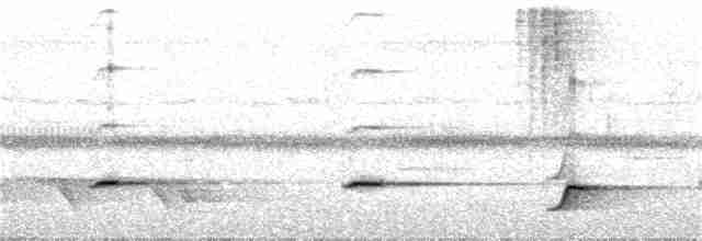 Gray Whistler (Gray-headed) - ML252110601