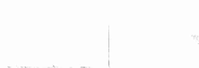 Cerulean Warbler - ML252118941