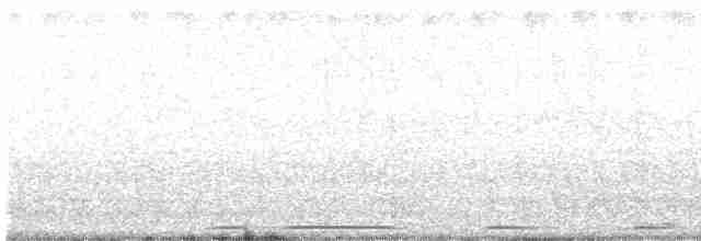 Eurasian Collared-Dove - ML252175091