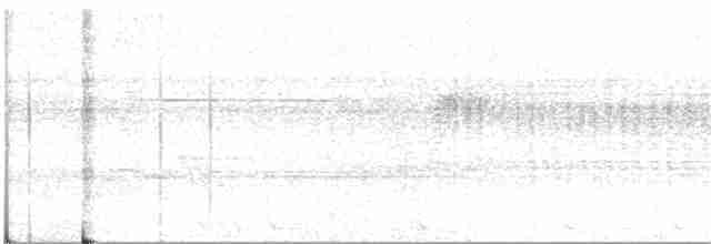 Diard's Trogon - ML252225711