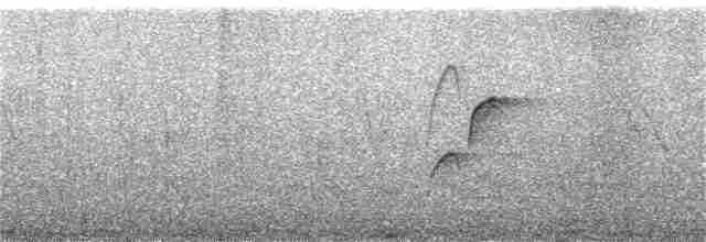 Batı Amerika Sinekkapanı (occidentalis/hellmayri) - ML252278481