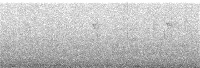 Batı Amerika Sinekkapanı (occidentalis/hellmayri) - ML252288451