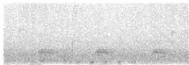 Tinamou à tête rousse - ML25229461