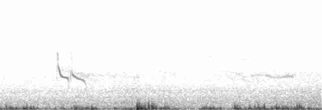 Короткоклювый бекасовидный веретенник - ML252302551