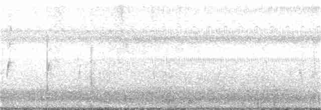Тиран сірий - ML252304971