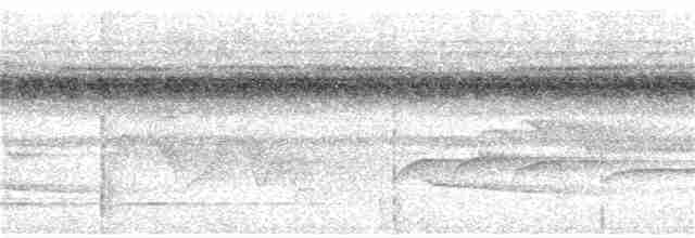 Серогорлая сириста - ML252313331