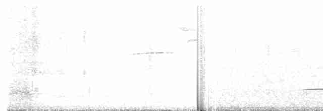 Münzevi Bülbül Ardıcı - ML252330421