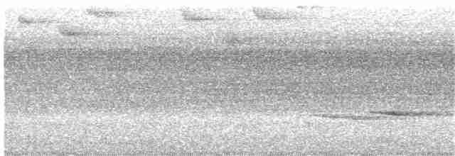 Braunrücken-Ameisenvogel - ML252384851