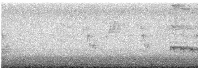 Светлобрюхий зимородок - ML252417291