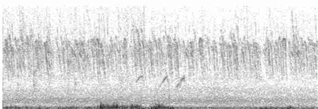 savannesølvnebb - ML252421841
