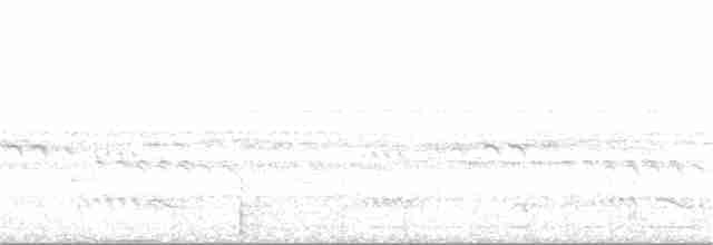 Ockerbart-Ameisenpitta - ML252458181