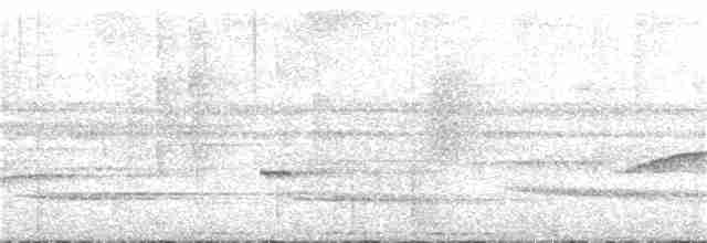 Белобородый колибри-отшельник - ML252460881