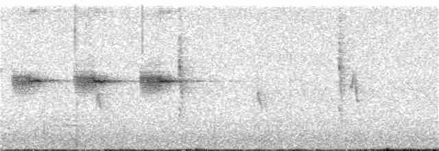 Лусонская пестрогрудка - ML252467121