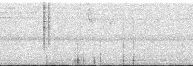 kolibřík chiribiquetský - ML252472
