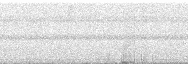 Чирибикетесский изумруд - ML252473