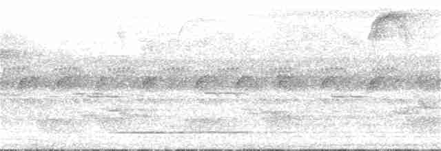 Gray Tinamou - ML252492591