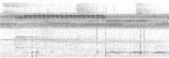 Black-tailed Trogon - ML252588601