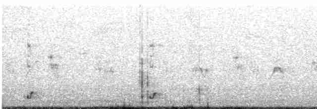 Eurasian Nightjar - ML252591211