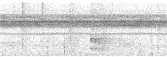 Kara Karınlı Sincap Guguğu - ML252605791