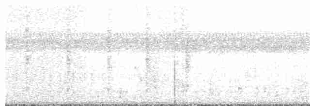Troglodyte des marais - ML252624661