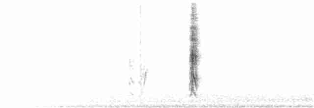 Kalifornienspottdrossel - ML252626241