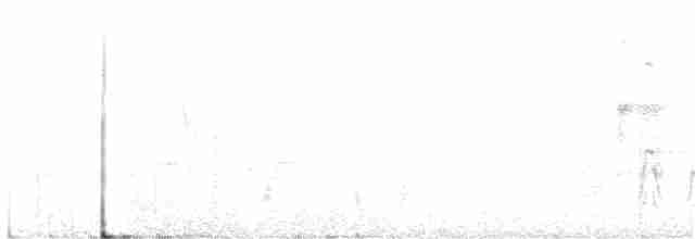 Каньонный крапивник - ML252644621