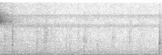 prikkstrupemaursmett (pyrrhonota) (kastanjeryggmaursmett) - ML252656