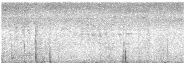Gözlüklü Baştankara - ML252712021