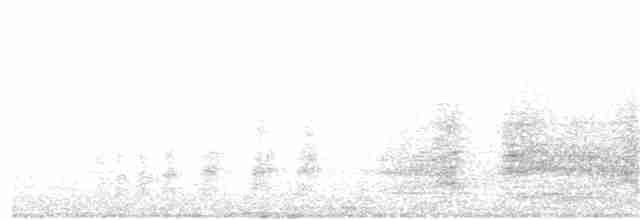 裏海燕鷗 - ML252722211