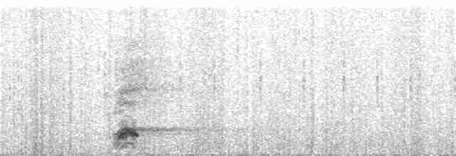 Black-crowned Night Heron - ML252735651