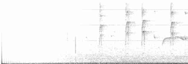 Gray Fantail (alisteri) - ML252744801