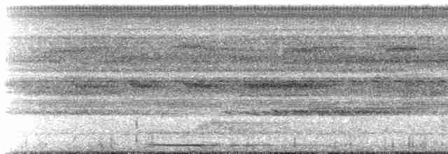 Zigzag Heron - ML25276811