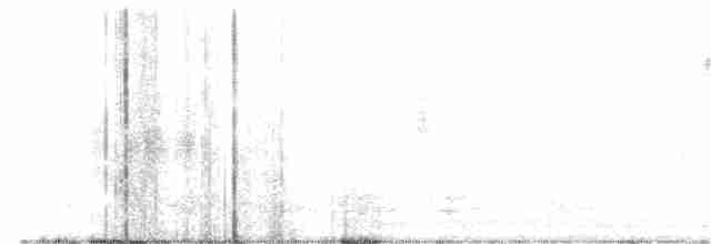 Common Yellowthroat - ML252824771