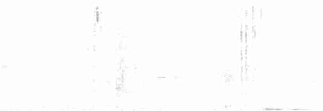 Тасманийская кустовка - ML252876991