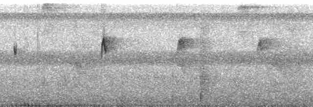 Прямоклювый колибри-отшельник - ML252877