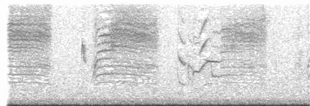 Red-breasted Meadowlark - ML252888781