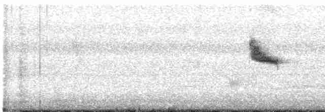 Swinhoe's White-eye - ML252970601