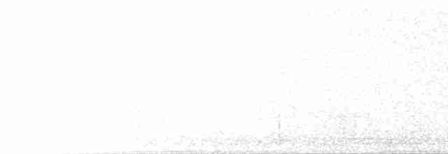 Australian Reed Warbler - ML252972091